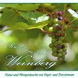 Rund um den Weinberg: Natur und Weinger�usche mit Vogel-/Tierstimmen