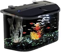 API Panaview Aquarium Kit with LED Lighting and Power Filter, 5-Gallon

