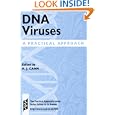 DNA Viruses: A Practical Approach (Practical Approach Series) by Alan J. Cann