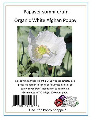 100 Organic White Afghan Poppy Seeds Papaver Somniferum 100 Organic White Afghan Poppy Seeds Papaver Somniferum