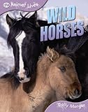 Wild horses