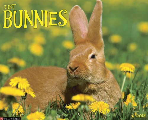 Bunnies 2013 Wall Calendar (Just (Willow Creek))