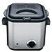 Kitchen & Housewares : Deni 1.25-qt Stainless Steel Mini Deep Fryer