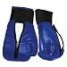 Wii Boxing Gloves - Blue