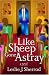 Like Sheep Gone Astray