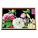Michel Design 12-1/4 by 7-3/4-Inch Works Decoupage Wooden Vanity Tray, Peony