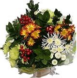 Review Smile Flowers  / Smile Christmas Value Chrysanthemums
