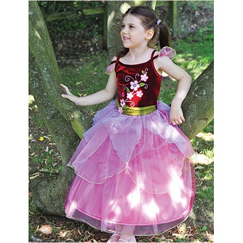 Velvet Plum Fantastic Fairies 6 years 