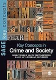 Key concepts in crime and society