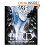 Bird: The Definitive Visual Guide