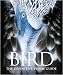 Bird: The Definitive Visual Guide