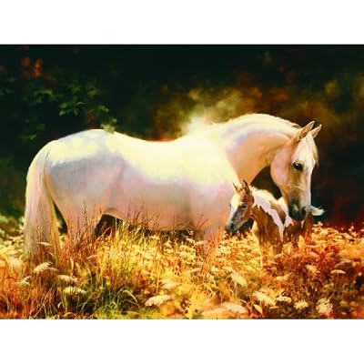 Queen Anne's Lace 500pc Jigsaw Puzzle by Bonnie Marris