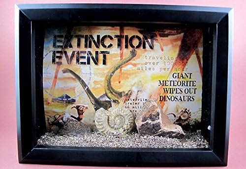 Meteorite Cufflinks In Sterling Silver