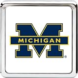 Bully Die Cat College Logo Rear Receiver Hitch Plug Cover College Logo 2 Receiver Hitch Plug - Michigan
