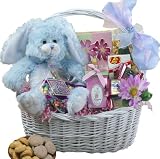 Somebunny Special Gift Basket - BLUE or PURPLE Bunny Rabbit - Gourmet Food Easter Gift Basket