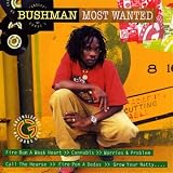 Bushman lyrics