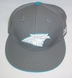 Carolina Panthers Fitted High Crown Hat By Reebok Size 7
