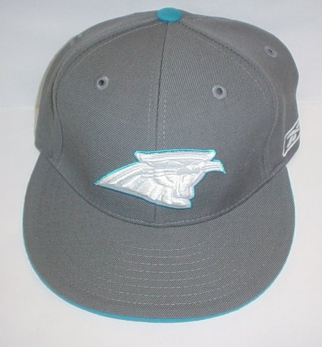 Carolina Panthers Fitted High Crown Hat By Reebok Size 7 7/8