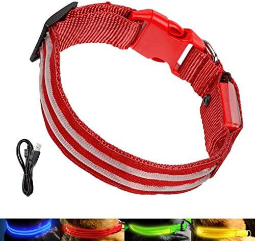 AMBESTKER - LED Dog Collars Bright Light USB Rechargeable Safety Pet Supplies Accessories (L(19-24 inch), Red)