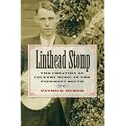 Buy Linthead Stomp: The Creation of Country Music in the Piedmont South by  Patrick Huber