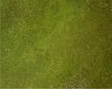 read full review MARSHALLTOWN The Premier Line ESLICHEN4 4-Ounce Lichen Elements Concrete Stain