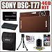 Sony Cybershot DSC-T77 10MP Digital Camera (Brown) + 4GB Accessory Kit