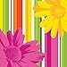 Creative Converting 18 Count Beverage Napkins, Floral Stripes