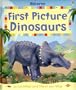 First Picture Dinosaurs (First Picture Board Books)