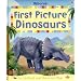 First Picture Dinosaurs (First Picture Board Books)