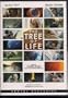 TREE OF LIFE (RENTAL READY)