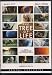 The Tree Of Life