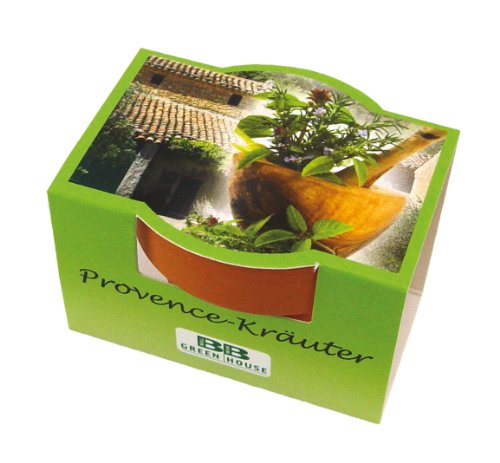 Minipflanzset Kräuter der Provence
