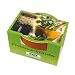 Minipflanzset Kr�uter der Provence