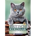 Britisch Kurzhaar: Charme, Kulleraugen und Kuschelfell