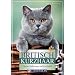 Britisch Kurzhaar: Charme, Kulleraugen und Kuschelfell