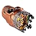 Golden Bell Herb Spice Coffee Grinder Crown Skull - Red Bronze