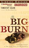 The Big Burn