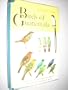 Birds of Guatemala