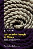 Systemische Therapie in Aktion: Kreative Methoden in der Arbeit mit Familien und Paaren - Jan Bleckwedel
