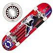 Roller Derby Revert Skateboard - Red/ Blue/ Black (31x8")