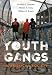 Youth Gangs in American Society