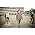 Vignette de The Datsuns