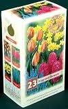 NEW! Fragrant Flower Collection -23 Bulbs-Spring Blooms