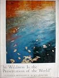 In Wildness is the Preservation of the World