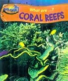 What are coral reefs?
