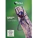 Ultimate Guide - Alles �ber Spinnen