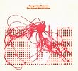 Electronic Meditation