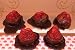 CHOCOLATE KISSED STRAWBERRIES- 5 Gourmet Jumbo Wax Strawberry Tart Melts
