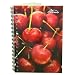 Lined Writing Journals/Notebooks - Spiral Bound -