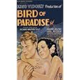 Buy Bird of Paradise